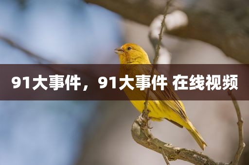 91大事件，91大事件 在线视频