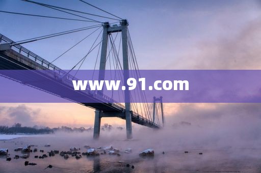 www.91.com