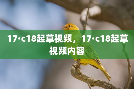 17·c18起草视频，17·c18起草视频内容