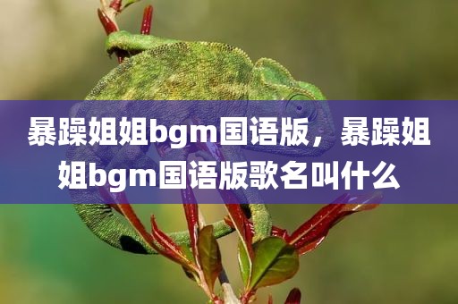 暴躁姐姐bgm国语版，暴躁姐姐bgm国语版歌名叫什么
