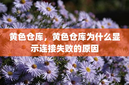 黄色仓库，黄色仓库为什么显示连接失败的原因