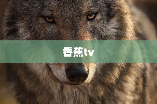 香蕉tv