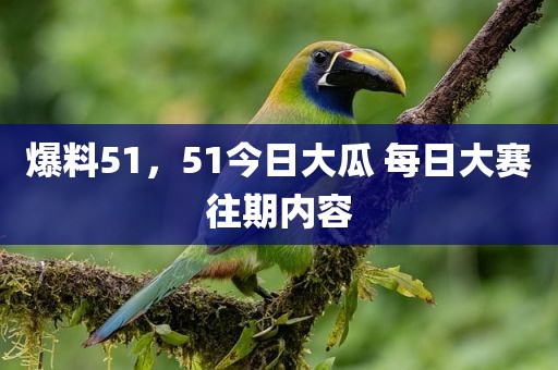 爆料51，51今日大瓜 每日大赛往期内容