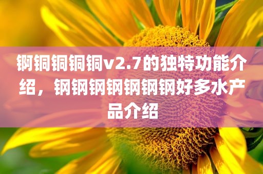 锕铜铜铜铜v2.7的独特功能介绍，钢钢钢钢钢钢钢好多水产品介绍