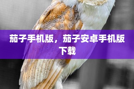 茄子手机版，茄子安卓手机版下载