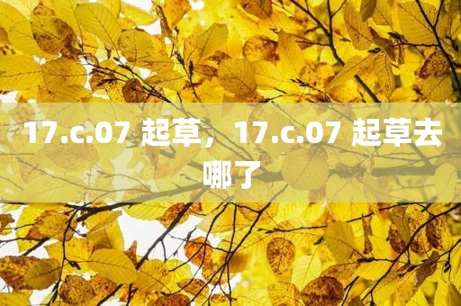 17.c.07 起草，17.c.07 起草去哪了