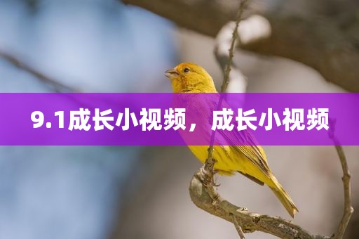 9.1成长小视频，成长小视频