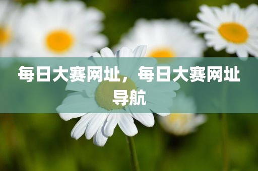 每日大赛网址，每日大赛网址导航