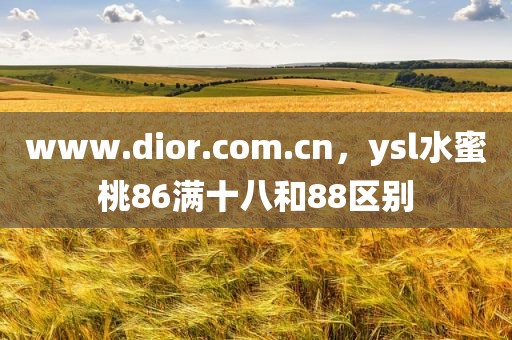 www.dior.com.cn，ysl水蜜桃86满十八和88区别