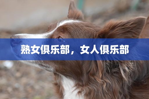 熟女俱乐部，女人俱乐部