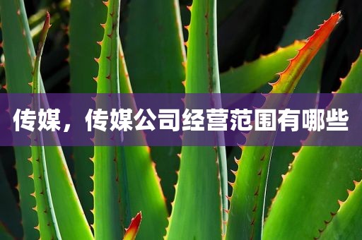 传媒，传媒公司经营范围有哪些