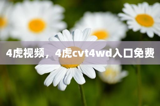 4虎视频，4虎cvt4wd入口免费