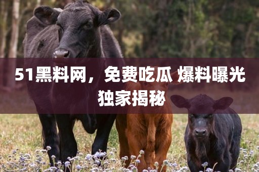51黑料网，免费吃瓜 爆料曝光 独家揭秘