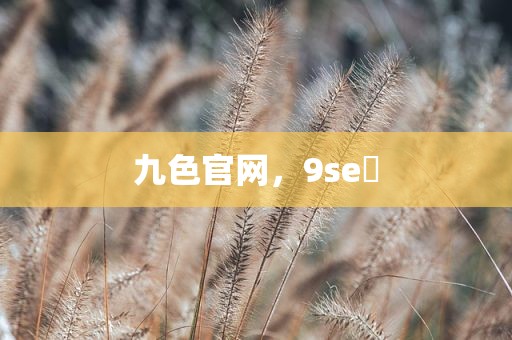 九色官网，9se 