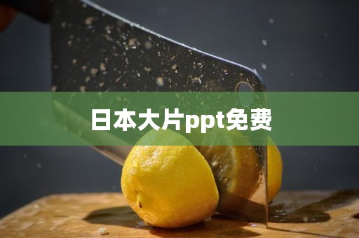 日本大片ppt免费