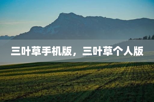 三叶草手机版，三叶草个人版