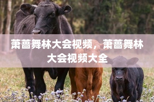 萧蔷舞林大会视频，萧蔷舞林大会视频大全