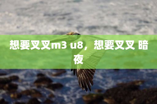 想要叉叉m3 u8，想要叉叉 暗夜
