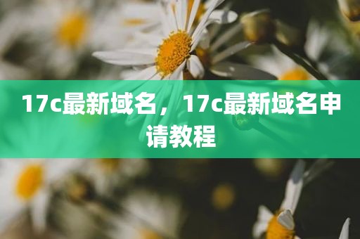 17c最新域名，17c最新域名申请教程