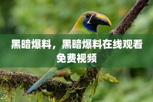 黑暗爆料，黑暗爆料在线观看免费视频