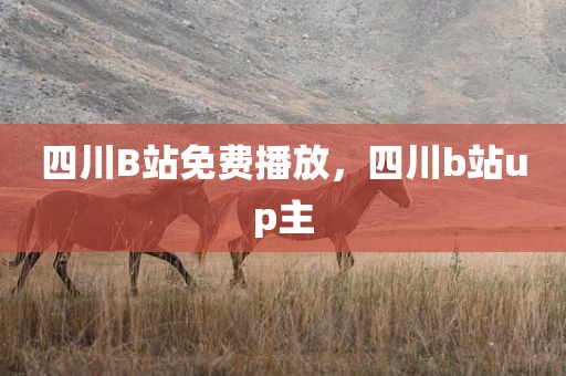 四川B站免费播放，四川b站up主