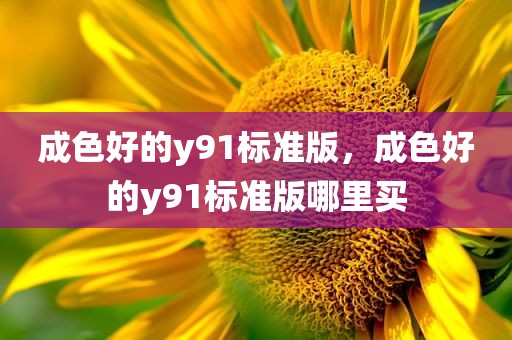 成色好的y91标准版，成色好的y91标准版哪里买