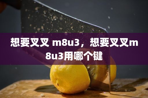 想要叉叉 m8u3，想要叉叉m8u3用哪个键