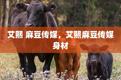 艾熙 麻豆传媒，艾熙麻豆传媒身材