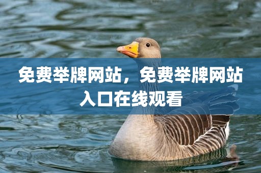 免费举牌网站，免费举牌网站入口在线观看