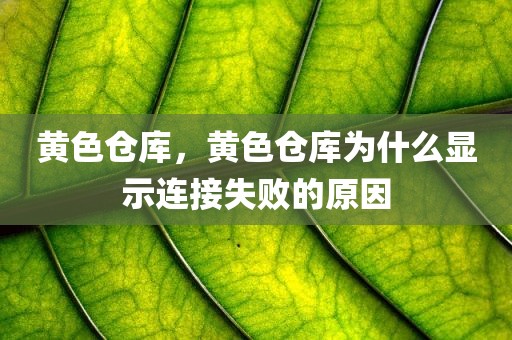 黄色仓库，黄色仓库为什么显示连接失败的原因