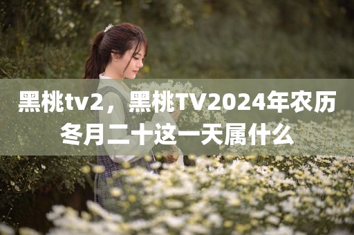 黑桃tv2，黑桃TV2024年农历冬月二十这一天属什么