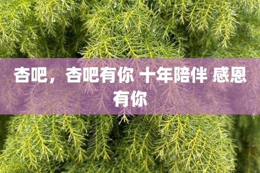 杏吧，杏吧有你 十年陪伴 感恩有你
