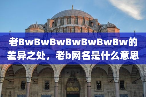 老BwBwBwBwBwBwBw的差异之处，老b网名是什么意思