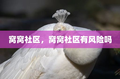 窝窝社区，窝窝社区有风险吗