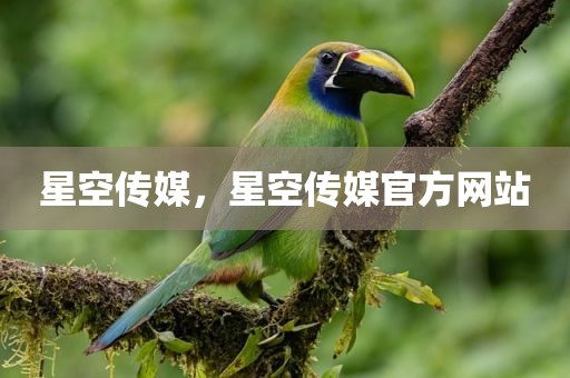 星空传媒，星空传媒官方网站