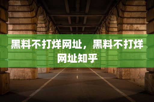 黑料不打烊网址，黑料不打烊网址知乎