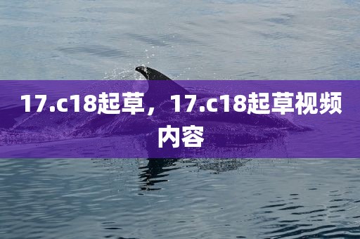 17.c18起草，17.c18起草视频内容
