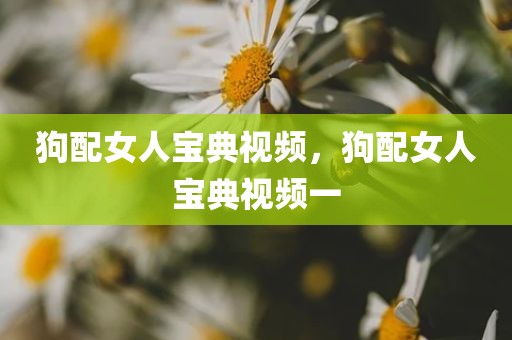 狗配女人宝典视频，狗配女人宝典视频一