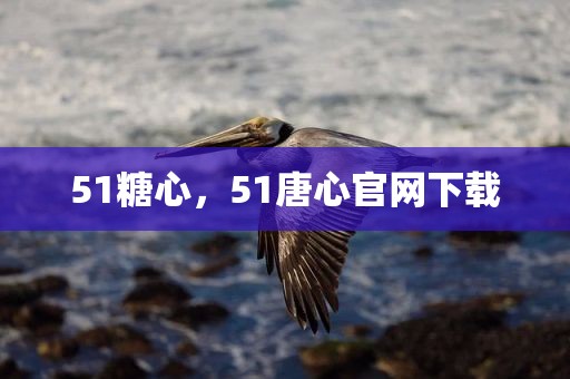 51糖心，51唐心官网下载