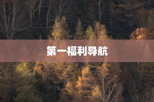 第一福利导航