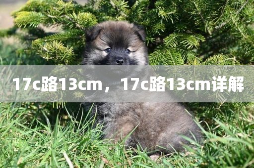 17c路13cm，17c路13cm详解