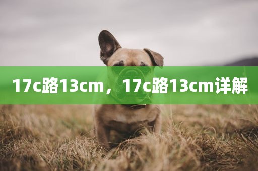 17c路13cm，17c路13cm详解