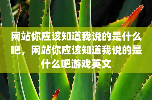 网站你应该知道我说的是什么吧，网站你应该知道我说的是什么吧游戏英文