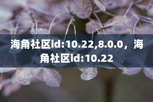 海角社区id:10.22,8.0.0，海角社区id:10.22
