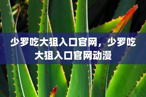 少罗吃大狙入口官网，少罗吃大狙入口官网动漫