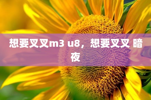 想要叉叉m3 u8，想要叉叉 暗夜