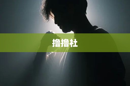 撸撸社