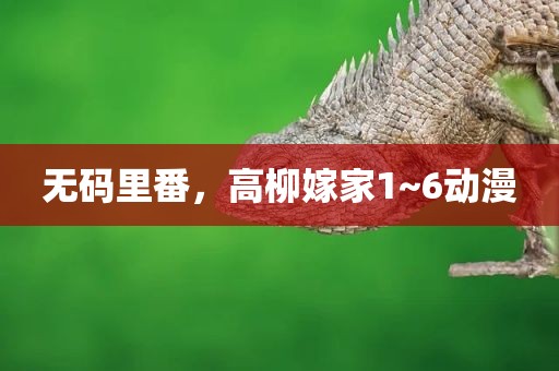 无码里番，高柳嫁家1~6动漫