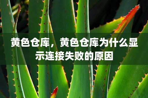 黄色仓库，黄色仓库为什么显示连接失败的原因