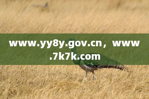 www.yy8y.gov.cn，www.7k7k.com